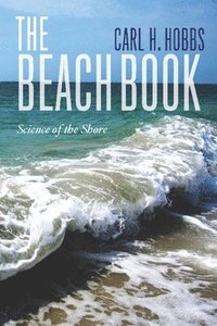 bokomslag The Beach Book