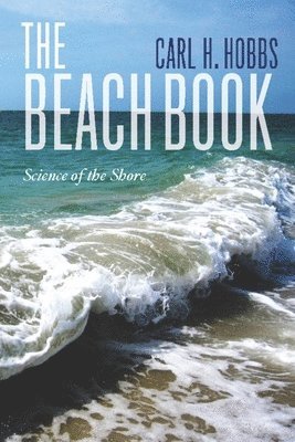 bokomslag The Beach Book