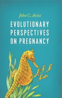 bokomslag Evolutionary Perspectives on Pregnancy