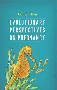 bokomslag Evolutionary Perspectives on Pregnancy