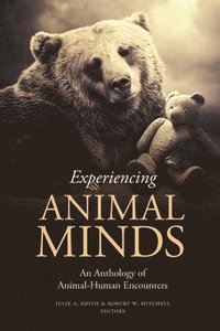 bokomslag Experiencing Animal Minds