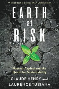 bokomslag Earth at Risk