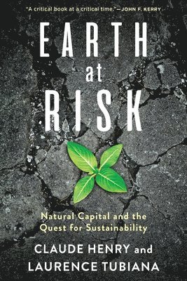 Earth at Risk 1