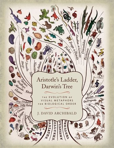 J. David. Archibald - Aristotle's Ladder, Darwin's Tree, Inbunden