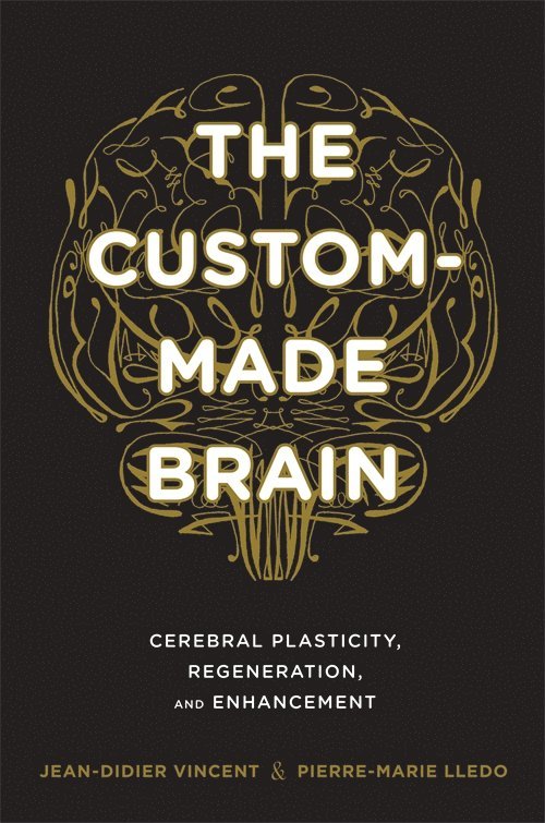 The Custom-Made Brain 1