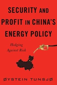 bokomslag Security and Profit in Chinas Energy Policy