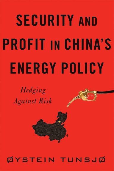 bokomslag Security and Profit in Chinas Energy Policy