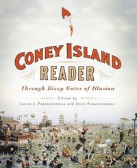 bokomslag A Coney Island Reader