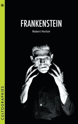 bokomslag Frankenstein