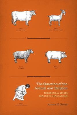 The Question of the Animal and Religion 1