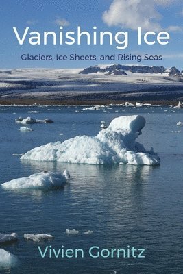 Vivien Gornitz, Vivien (Goddard Institute for Space Studies) Gornitz - Vanishing Ice, Inbunden