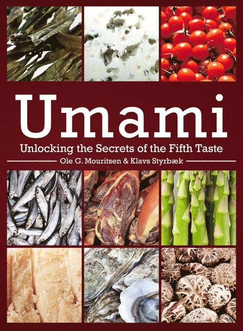 Umami 1