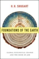 bokomslag Foundations of the Earth