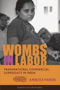 bokomslag Wombs in Labor