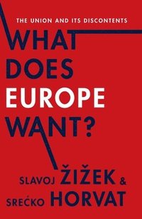 bokomslag What Does Europe Want?: The Union and Its Discontents
