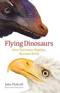 bokomslag Flying Dinosaurs: How Fearsome Reptiles Became Birds