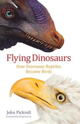 bokomslag Flying Dinosaurs: How Fearsome Reptiles Became Birds