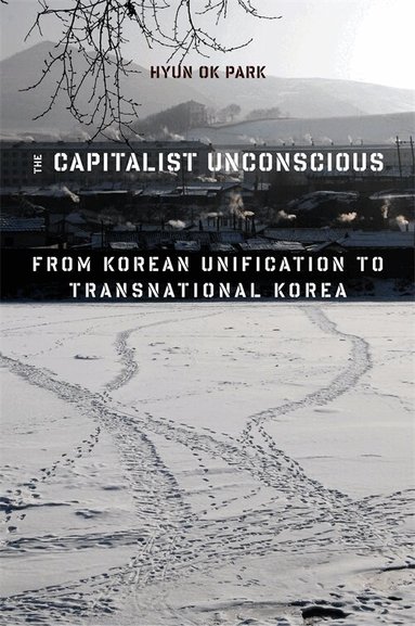 Hyun Ok Park - Capitalist Unconscious, Inbunden