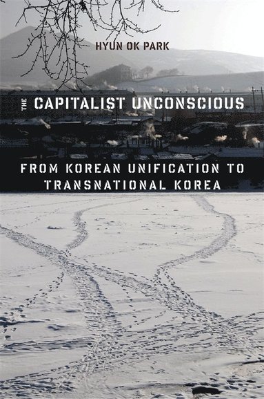 bokomslag Capitalist Unconscious