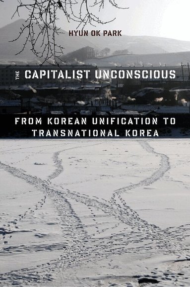 Hyun Ok Park - Capitalist Unconscious, Häftad