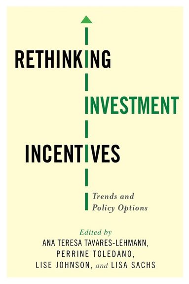 bokomslag Rethinking Investment Incentives