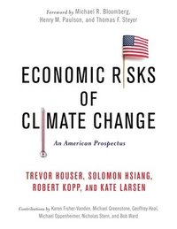 bokomslag Economic Risks of Climate Change