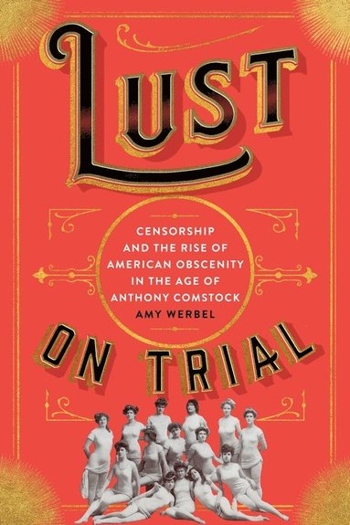 bokomslag Lust on Trial
