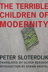 bokomslag The Terrible Children of Modernity