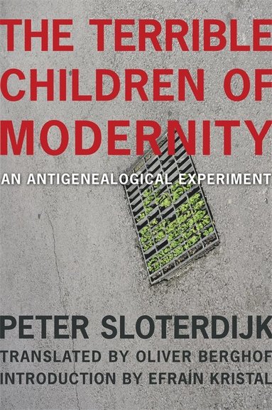 bokomslag Terrible Children of Modernity