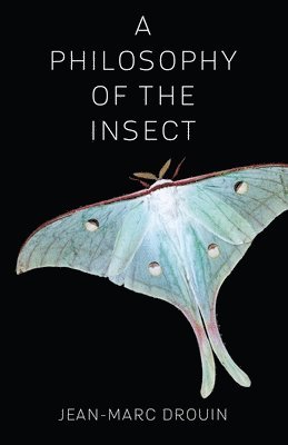 Jean-Marc Drouin - Philosophy of the Insect, Häftad