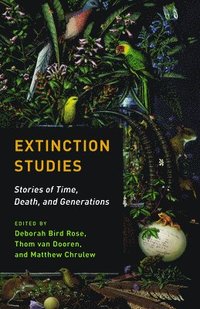 bokomslag Extinction Studies
