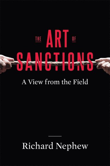 bokomslag Art of Sanctions