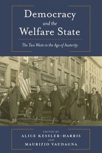 bokomslag Democracy and the Welfare State
