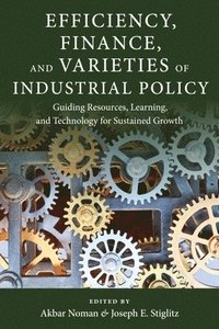 bokomslag Efficiency, Finance, and Varieties of Industrial Policy
