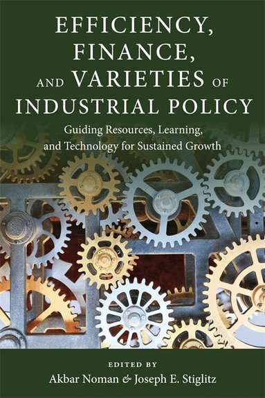 Akbar Noman, Joseph E. Stiglitz - Efficiency, Finance, and Varieties of Industrial Policy, Inbunden