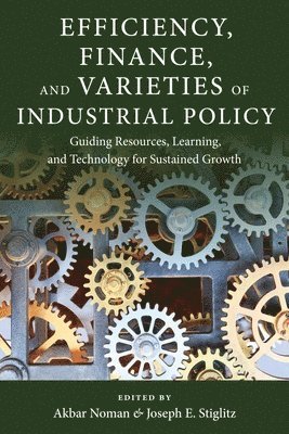 Efficiency, Finance, and Varieties of Industrial Policy 1