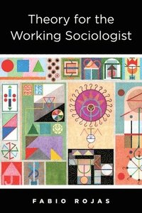bokomslag Theory for the Working Sociologist