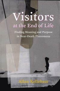 bokomslag Visitors at the End of Life