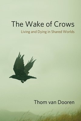 Thom van Dooren, Thom Van Dooren - Wake of Crows, Inbunden