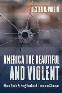 bokomslag America the Beautiful and Violent
