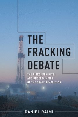 bokomslag Fracking Debate