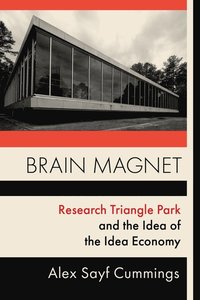 bokomslag Brain Magnet