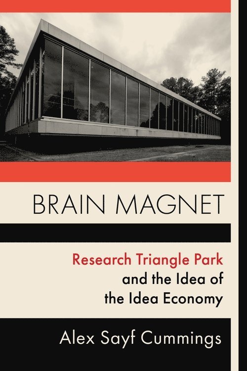 Brain Magnet 1