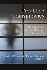 bokomslag Troubling Transparency
