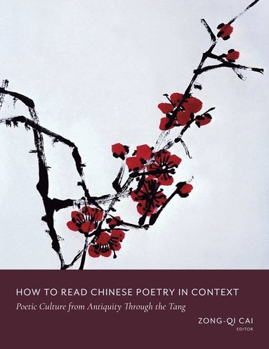 bokomslag How to Read Chinese Poetry in Context