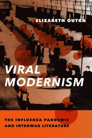 bokomslag Viral Modernism