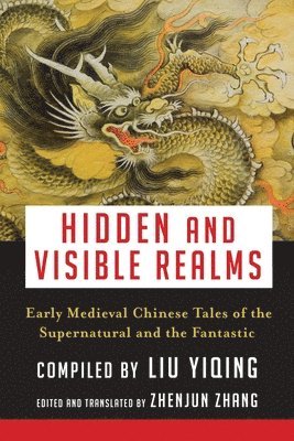 Hidden and Visible Realms 1