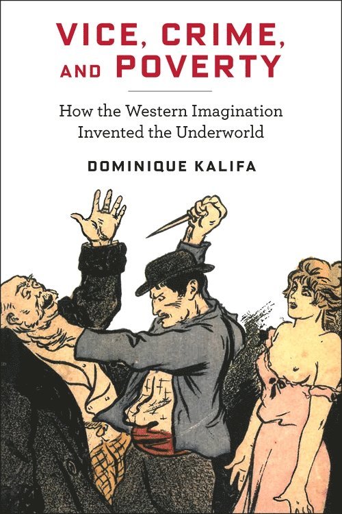Dominique Kalifa - Vice, Crime, and Poverty, Häftad