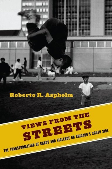 Roberto Aspholm - Views from the Streets, Häftad