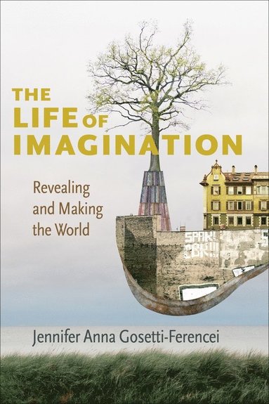 bokomslag Life of Imagination